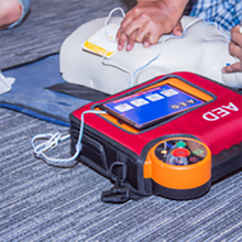 Load image into Gallery viewer, Basic Life Support / CPR