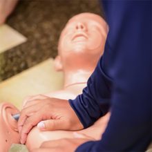 Load image into Gallery viewer, Basic Life Support / CPR